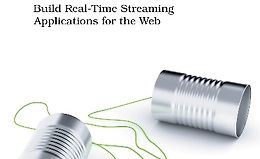 Разработка с использованием WebRTC logo