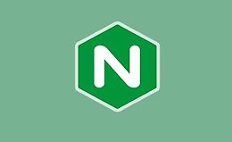 Сервер Nginx от начала до конца (в Ubuntu и CentOS) logo