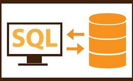 SQL УЧИМ ВМЕСТЕ logo