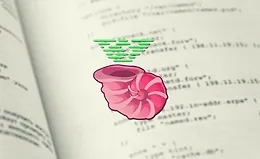 Написание скриптов оболочки (shell scripting)