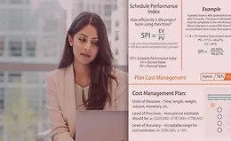 Управление стоимостью проекта