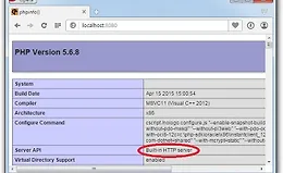 Используем встроеный веб-сервер PHP