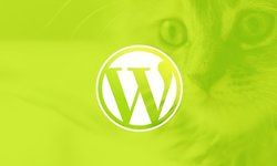 WordPress для начинающих: создайте сайт шаг за шагом