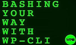 Bashing Your Way with WP-CLI