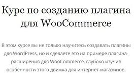 Курс по созданию плагина для WooCommerce