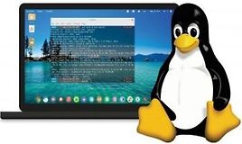 Подготовительный курс Linux
