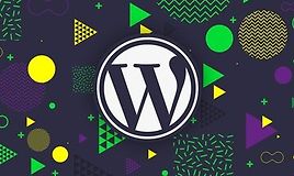 Полное руководство по созданию премиум тем WordPress