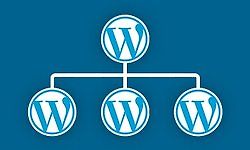 Полное руководство по WordPress Мультисайт (Multisite)