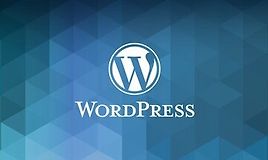 Полный бизнес-курс по WordPress