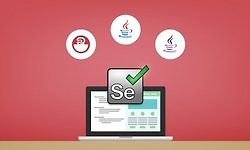 Selenium WebDriver с Java - от новичка до ниндзя + интервью