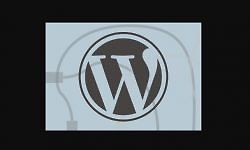 Введение в разработку плагинов WordPress