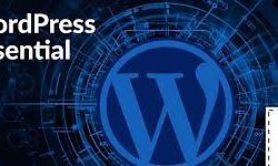  WordPress Essential