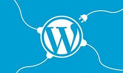 3 практических проекта для изучения разработки плагинов для WordPress