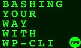 Bashing Your Way with WP-CLI