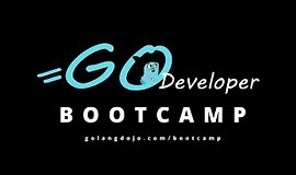 Bootcamp: Разработчик Go logo