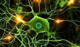 Data Science: глубокое обучение на Python