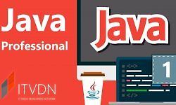 Java Professional logo