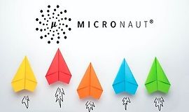 Изучите Micronaut - Облачные микросервисы с Java logo