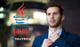 Java Foundations: Полное руководство с обновлениями Java 21 logo