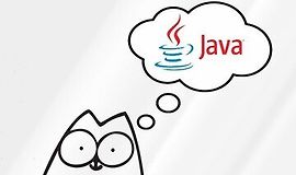 Java с нуля до Junior + Подготовка к собеседованию logo