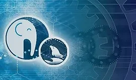 Курс PHP / MySQL