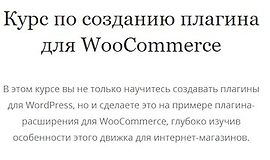 Курс по созданию плагина для WooCommerce logo