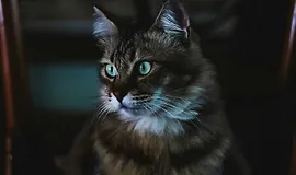 Микросервисы на NestJS