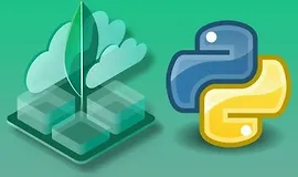MongoDB Python - Полное практическое руководство 2021
