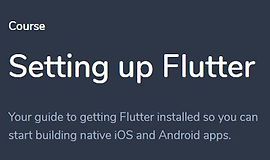 Настройка Flutter logo