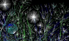 Несложно о сложных сетях для программистов и непрограммистов