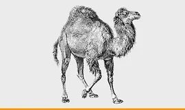 Perl для начинающих: Написания скриптов на Perl от А до Я