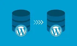 Полное руководство по миграции WordPress