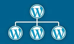 Полное руководство по WordPress Мультисайт (Multisite)