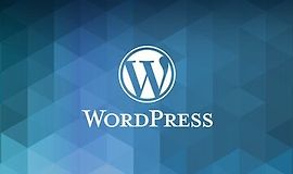 Полный бизнес-курс по WordPress logo