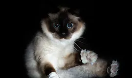 Продвинутые концепции NestJS