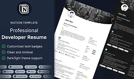 Профессиональное резюме разработчика