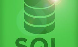 Профессиональный SQL logo