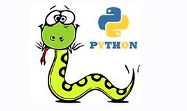 Программирование на языке Python для школьников. Уровень 1 logo