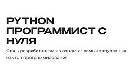 Python - программист с нуля logo