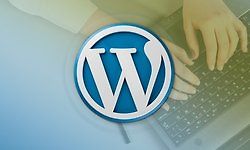 Разработка плагинов для WordPress - создаем14 плагинов logo