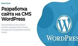 Разработка сайта на CMS WordPress