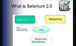 Selenium 2.0