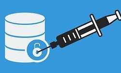 SQL инъекции и тестирование баз данных для начинающих logo