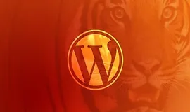 Станьте разработчиком WordPress: Раскройте мощь с помощью кода