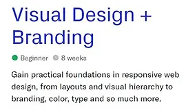 Визуальный дизайн + брендинг