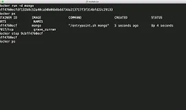 Запуск, остановка и удаление докер контейнеров