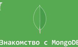 Знакомство с MongoDB (Воркшоп) logo