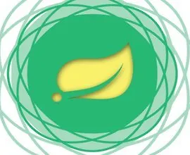 [Книга] Реактивный Spring