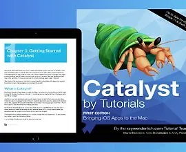 [Книга] Руководство по Catalyst 