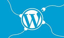 3 практических проекта для изучения разработки плагинов для WordPress logo